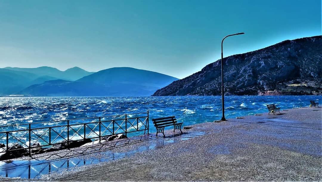 Porto Arimar Hotel Antikyra Exterior photo